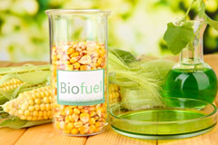 Lower Burton biofuel availability