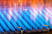 Lower Burton gas fired boilers